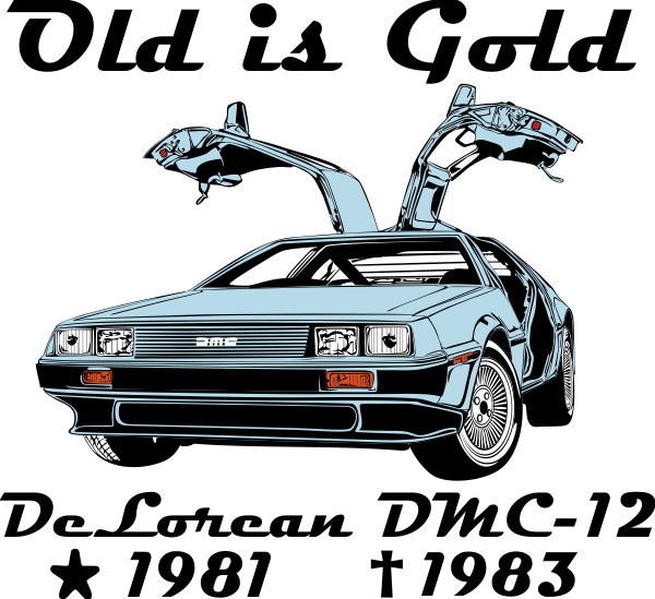 Delorean Dmc-12 "back To The Future" - Goldendoodle Mom Shower Curtain (600x549), Png Download