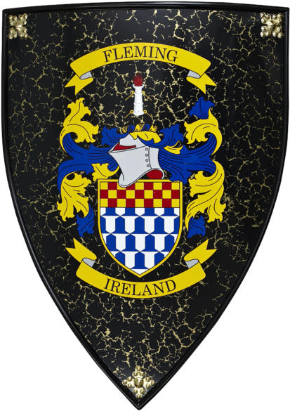 Large Coat Of Arms Shield - Emblem (570x855), Png Download