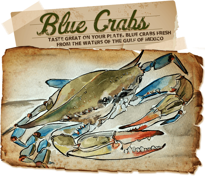 Taste Great On Your Plate - Blue Crabs (704x607), Png Download