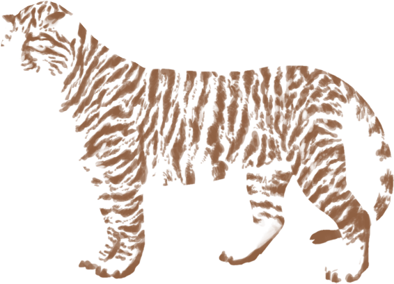 Portable Network Graphics (640x500), Png Download