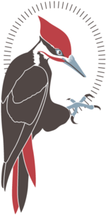 Peckertransparent - Woodpecker By David Burke Logo (1000x335), Png Download