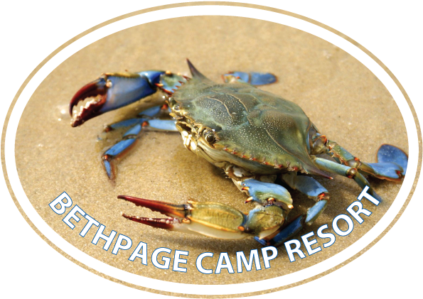 Blue Crab Euro - Close Up On Blue Crab (640x427), Png Download