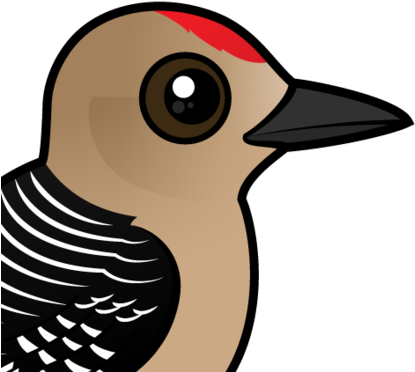 Woodpecker Clipart Two - Zazzle Birdorable Gila Woodpecker Ring, Adult Unisex, (440x440), Png Download