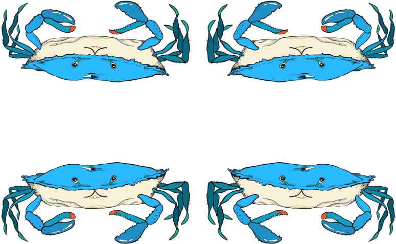 Clip Art (800x598), Png Download