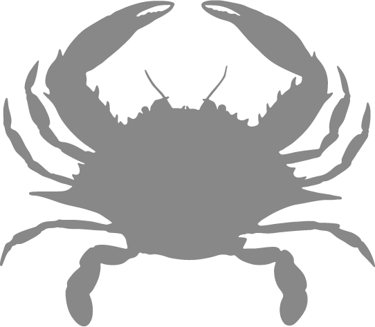 Blue Crab - Blue Crab Eyes (542x473), Png Download