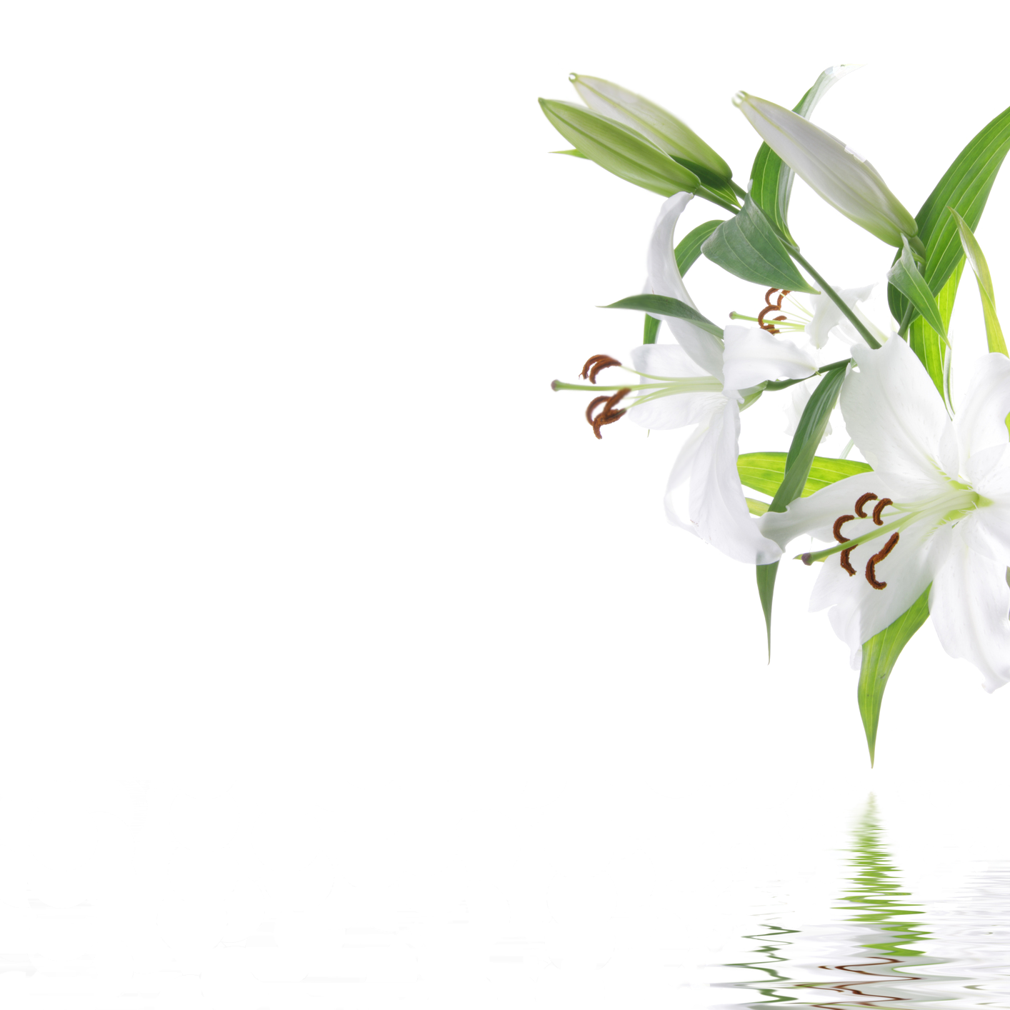 Quienes Somosd - Background Spa (1414x1414), Png Download