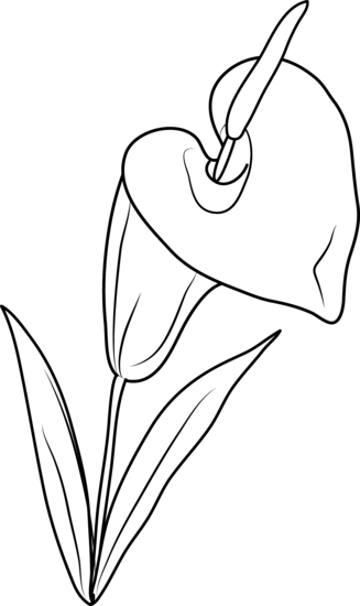 White Lily Clipart - Clip Art (327x550), Png Download