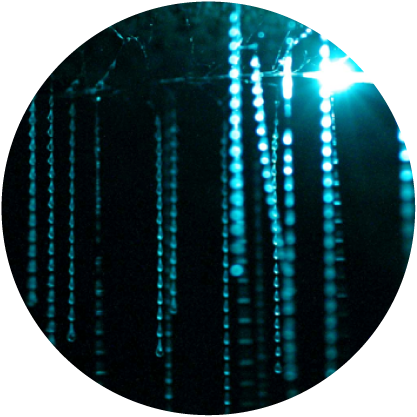 Glow Show - Cave Glow Worm (417x417), Png Download