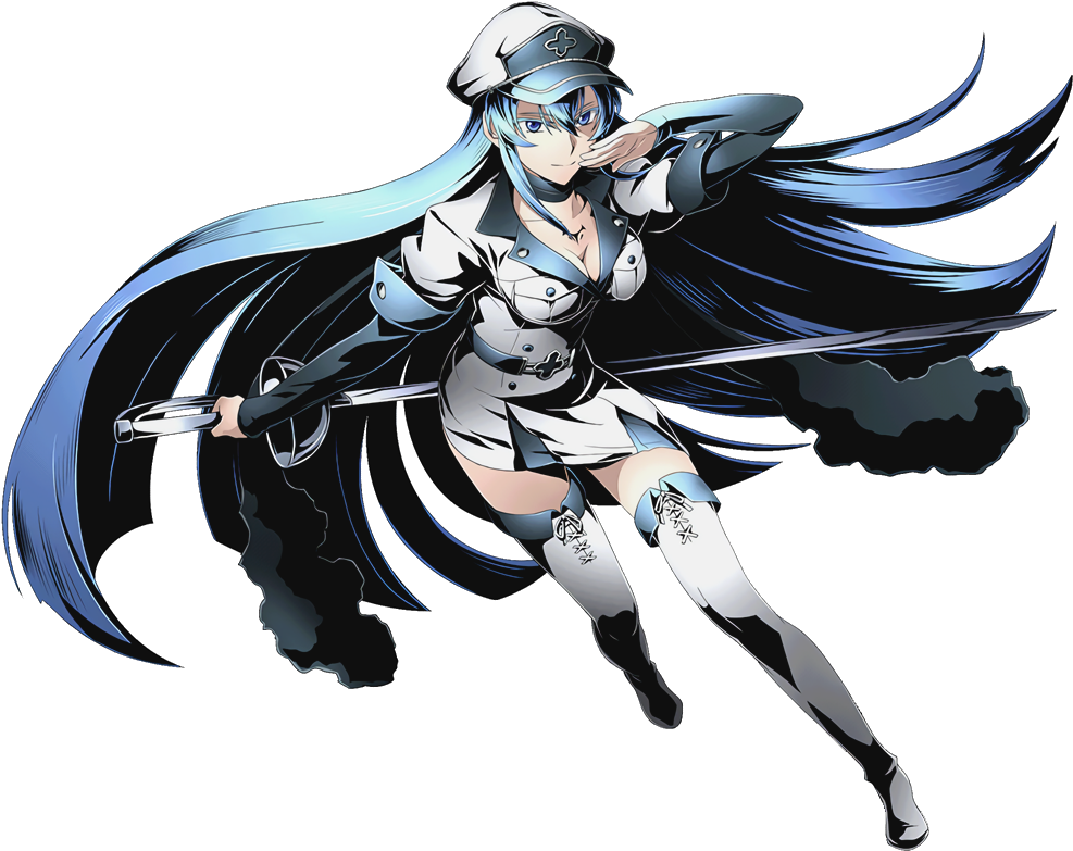 Kiryuin Satsuki Vs Esdeath And Akame Vs Erza Scarlet - Akame Ga Kill X Divine Gate (1008x810), Png Download