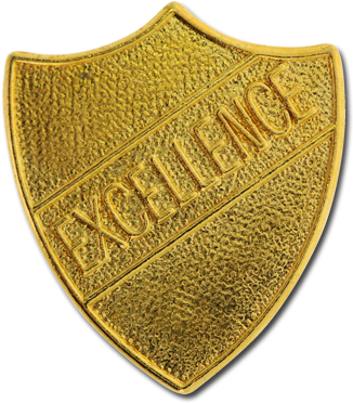 Excellence Metal Shield Badge - Shield Of Excellence 10 Studyladder (572x541), Png Download
