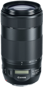 Canon Ef 70 300mm F/4 - Canon Ef 70-300mm F4-5.6 Is Usm Ii Lens (480x320), Png Download