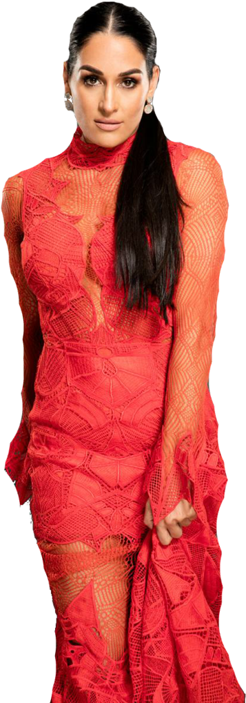 Nikki Bella Png Transparent Image - Nikkie Bella Wallpaer (1024x1024), Png Download