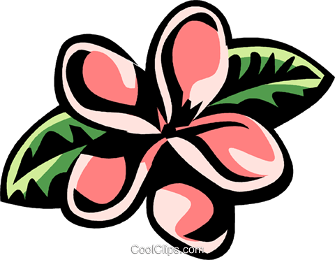 Plumeria Royalty Free Vector Clip Art Illustration - Plumeria Clip Art (480x372), Png Download