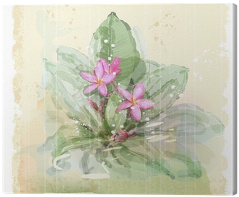 Frangipani Flower - Evsimo Dekoratif Yastık 40x40 Cm - (452-13079) (400x400), Png Download