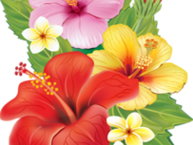 Yellow Hibiscus Shower Curtain (640x480), Png Download