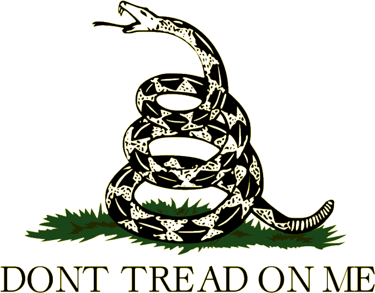 Taxation Is Theft Libertarian (1000x1000), Png Download