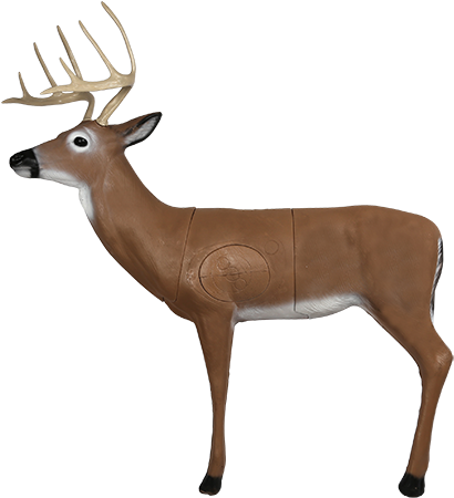 Hill Country Whitetail Archery Target - Mckenzie Deer Target (500x500), Png Download