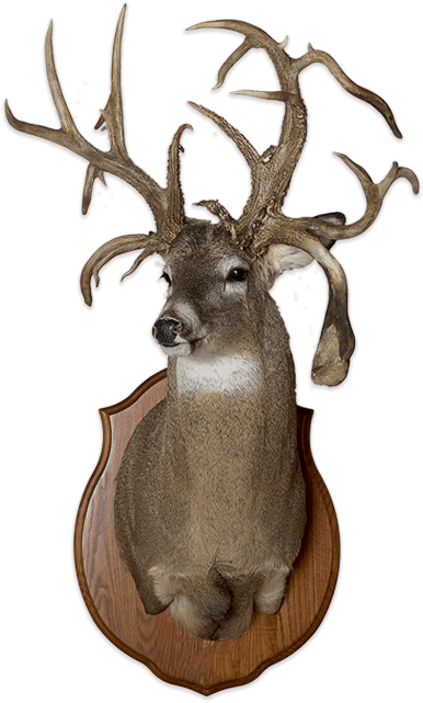 Take The Guessing Game Out - Somme (400x688), Png Download