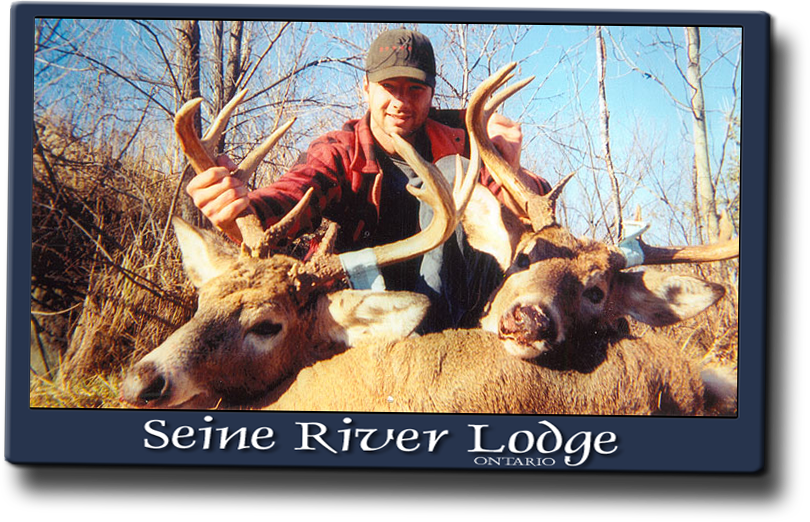 The Northwestern Ontario Whitetails Are A Different - Trophy Hunting (810x522), Png Download