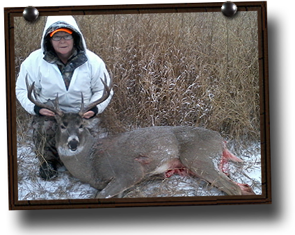 Whitetail Deer Hunting Photos - Deer Hunting (430x340), Png Download