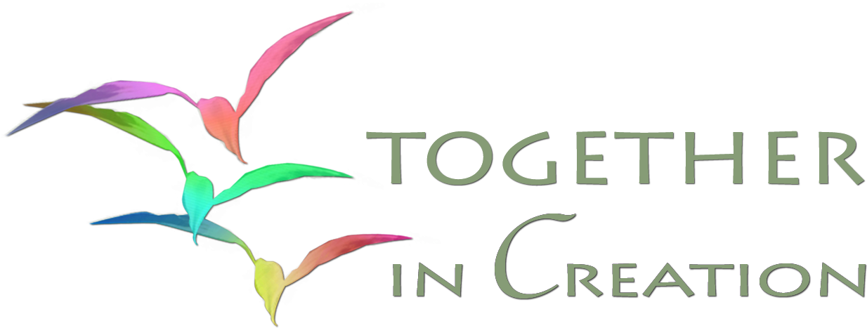 Final Tic Logo - Final Tic (1333x529), Png Download