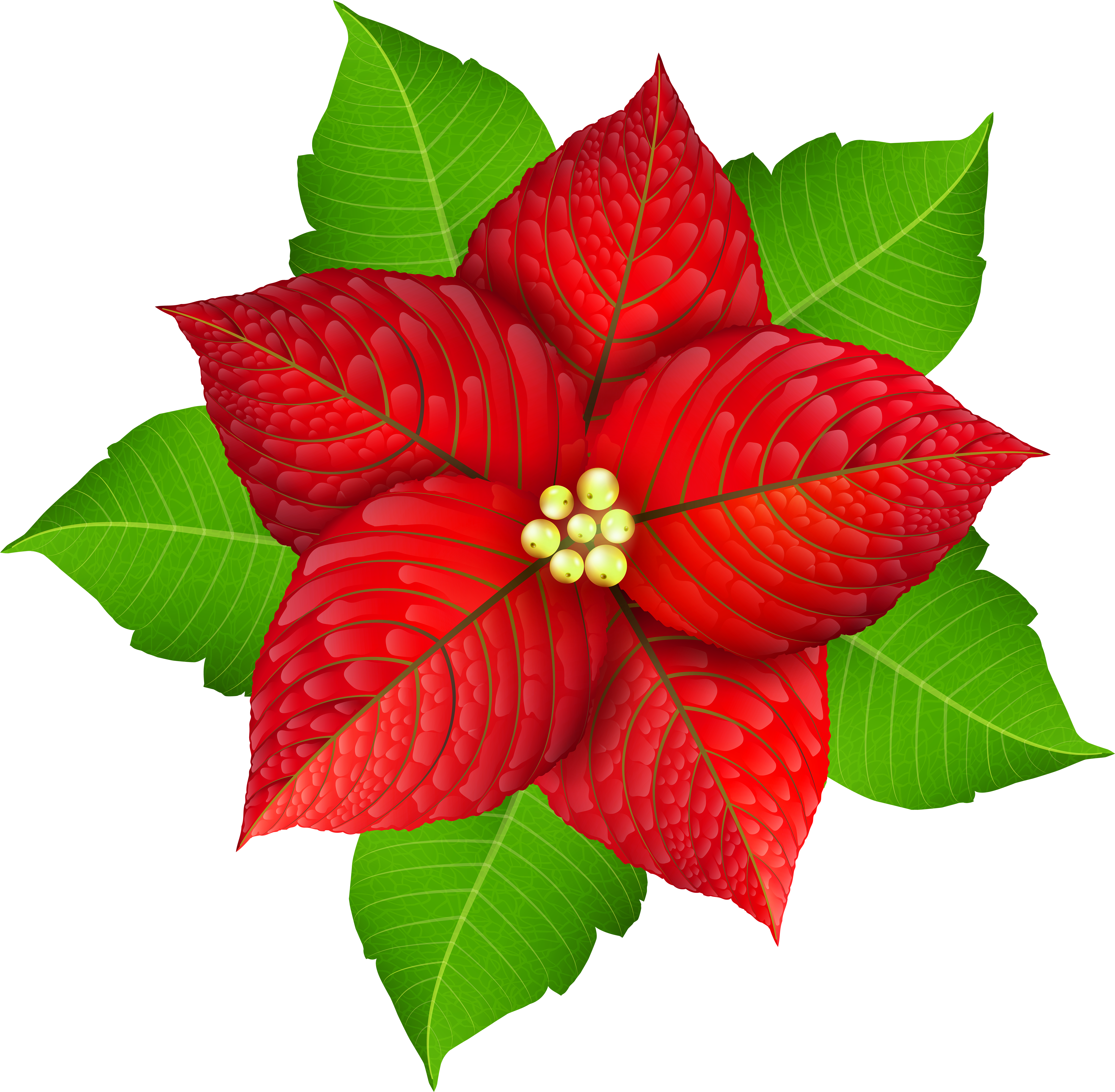Vector Stock Christmas Transparent Png Image Gallery - Christmas Poinsettia Png (5000x4825), Png Download