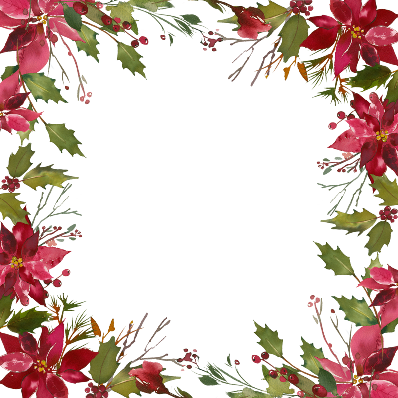 Фото, Автор ✿lili@ ✿ На Яндекс - Poinsettia (800x800), Png Download