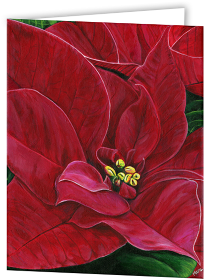 Uniquely Made Greeting Cards In An 8 Pack Set Printed - Poinsettia (480x600), Png Download