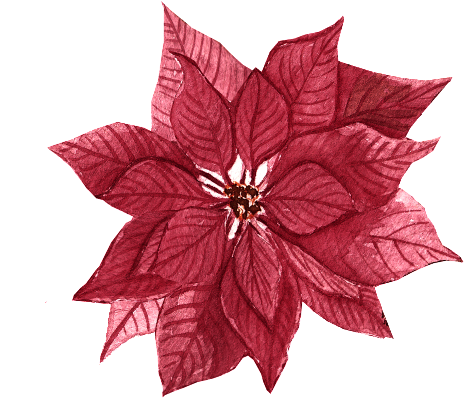 Red Maple Leaf Flower Free Illustration - Leaf (1024x922), Png Download