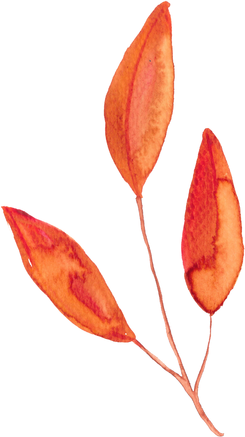 Hand Painted Orange Three Slices Of Leaf Watercolor - Watercolor Painting (1024x1776), Png Download