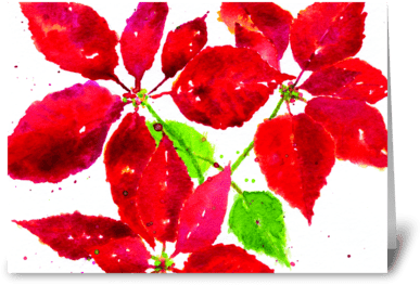 Christmas Poinsettia Greeting Card - Gilliflower (424x349), Png Download