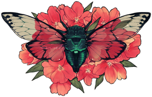 Butterfly (500x320), Png Download