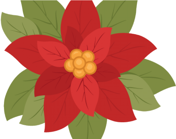 Poinsettia (640x480), Png Download