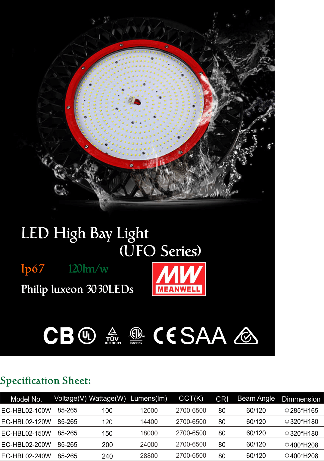 Description - Circle (1076x1529), Png Download