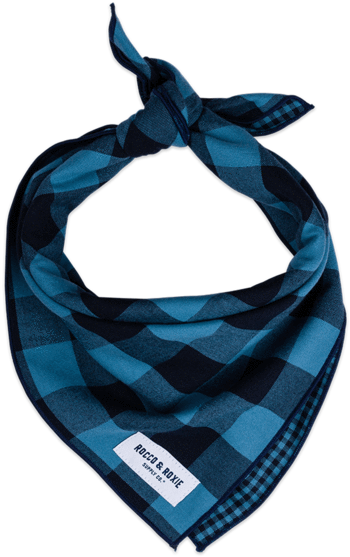 Blue (600x600), Png Download