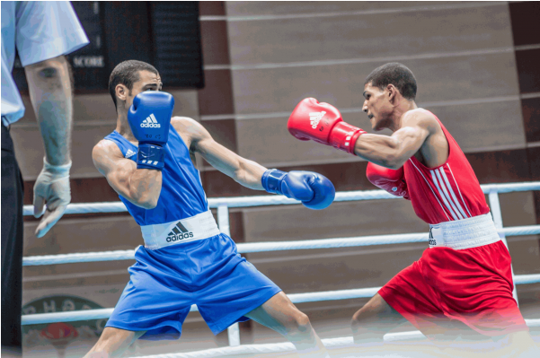 Adidas Boxing Gloves And Trunks (600x600), Png Download
