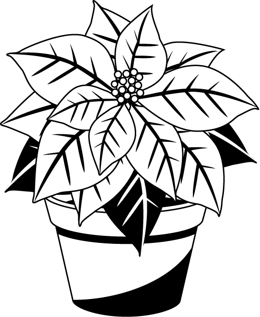 Svg Library Stock Collection Of Christmas - Black And White Poinsettia Clipart (519x633), Png Download