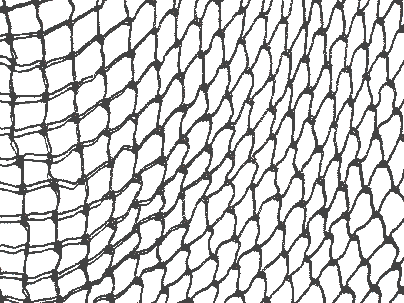 Fishnet Transparent Draw - Fish Net Png - Free Transparent PNG Download ...