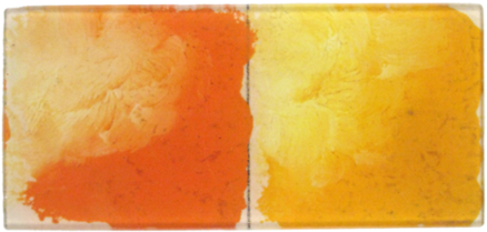 John Derian Mixed Colors - Still Life (480x480), Png Download