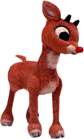 He Is A Red Nosed Reindeer - Rudolph The Red Nosed Reindeer (800x800), Png Download