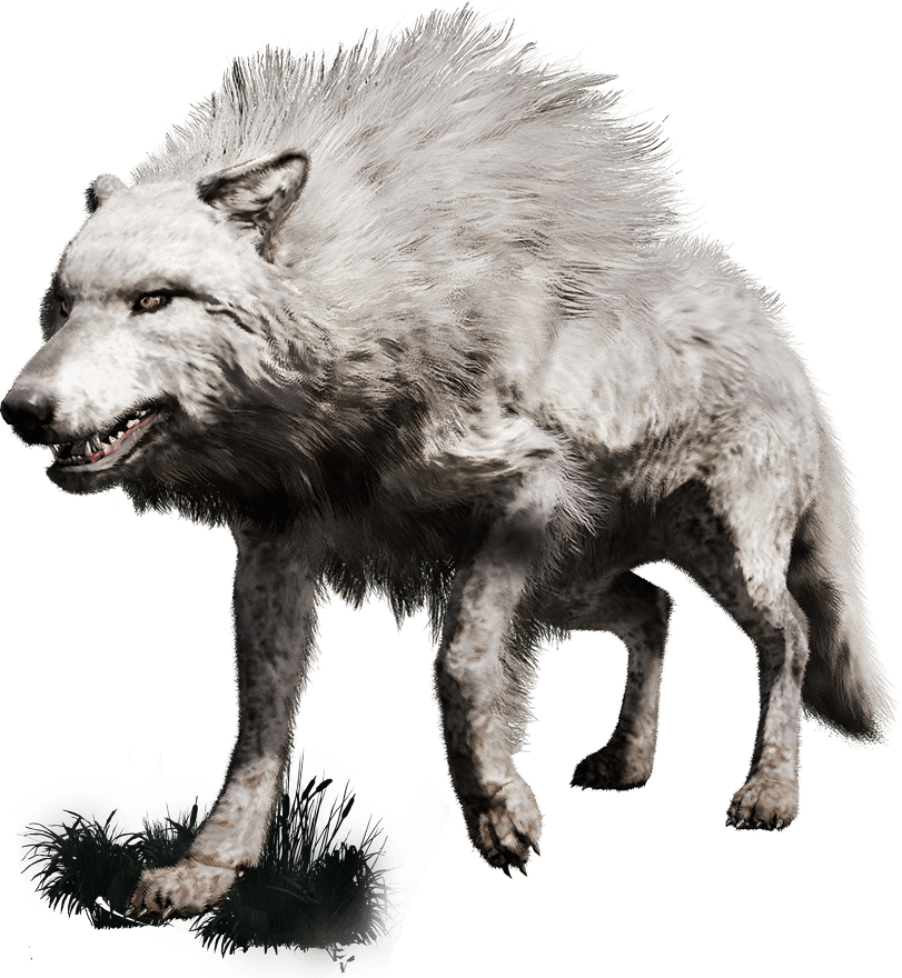 Far Cry Collection Trophies - Far Cry Primal All Beast (811x880), Png Download