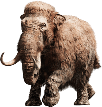 長毛象 - Far Cry Primal Mammut (557x566), Png Download