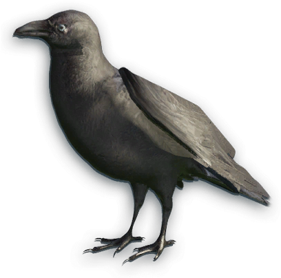 Far Cry Primal Crow (411x410), Png Download