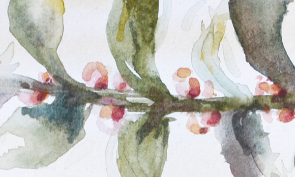 Daniel Is The Owner Of Cupcafé, A Place Were Art And - Watercolor Paint (600x360), Png Download