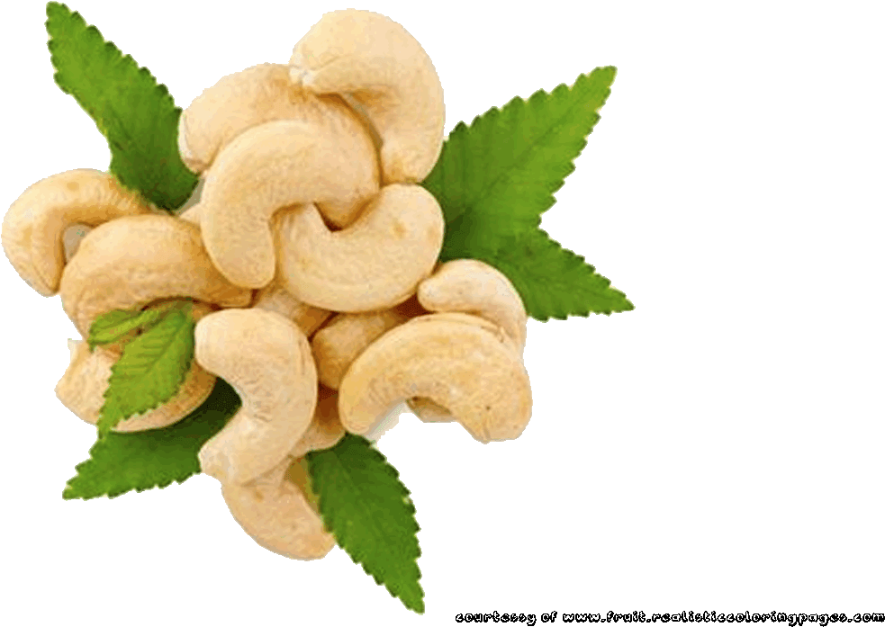 Rambutan Clipart Cashew Nut - Cashew Png (1280x720), Png Download