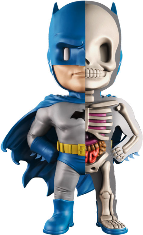 Xxray Batman (800x800), Png Download