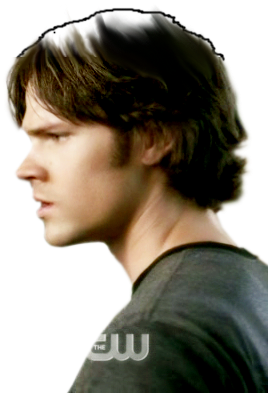 Adidas Firebird (336x400), Png Download