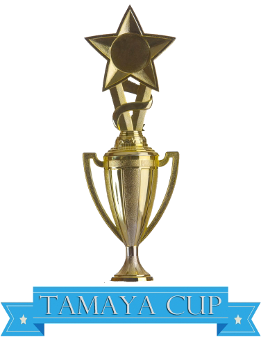 Super Bowl 2-man Net Best Ball - Trophy (375x585), Png Download