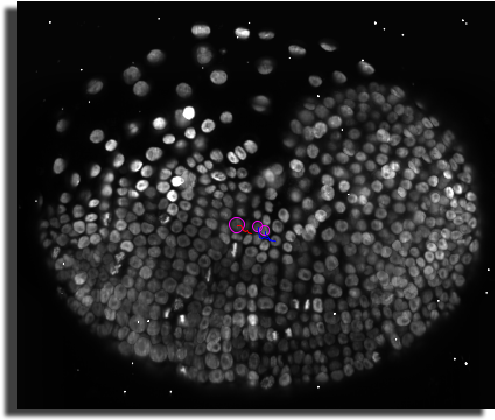 Portable Network Graphics (513x443), Png Download