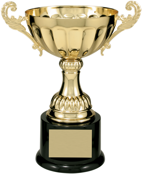 Metal Loving Cup - 8 1/2 Inch Silver Completed Metal Cup Trophy (574x574), Png Download